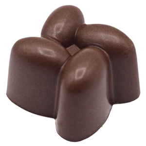 noisettte praline kao chocolat