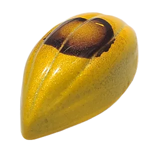 chocolat fin yuzu genevrier kao chocolat